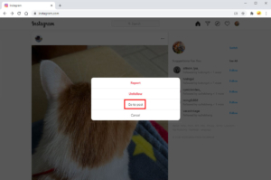 Comment télécharger des photos Instagram privées? [2023 plus récent]