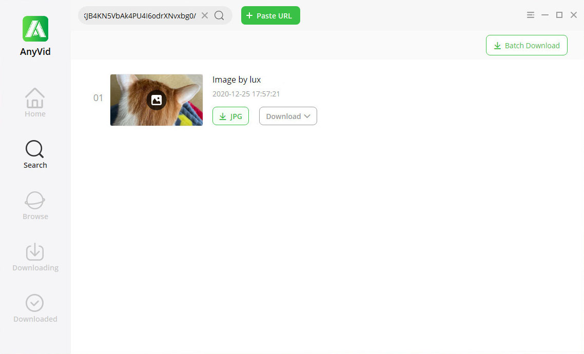 Download private Instagram photos