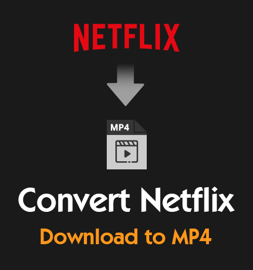 Konvertieren Sie den Netflix-Download in MP4