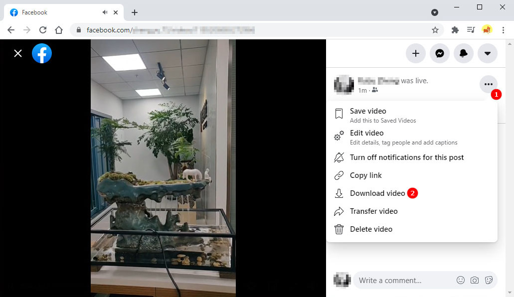 Download my Facebook Live video