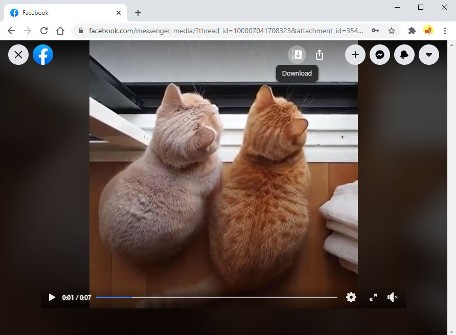 Speichern Sie das Video von Messenger auf dem PC