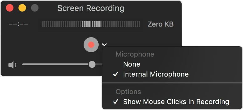 Set parameter to record screen with audio