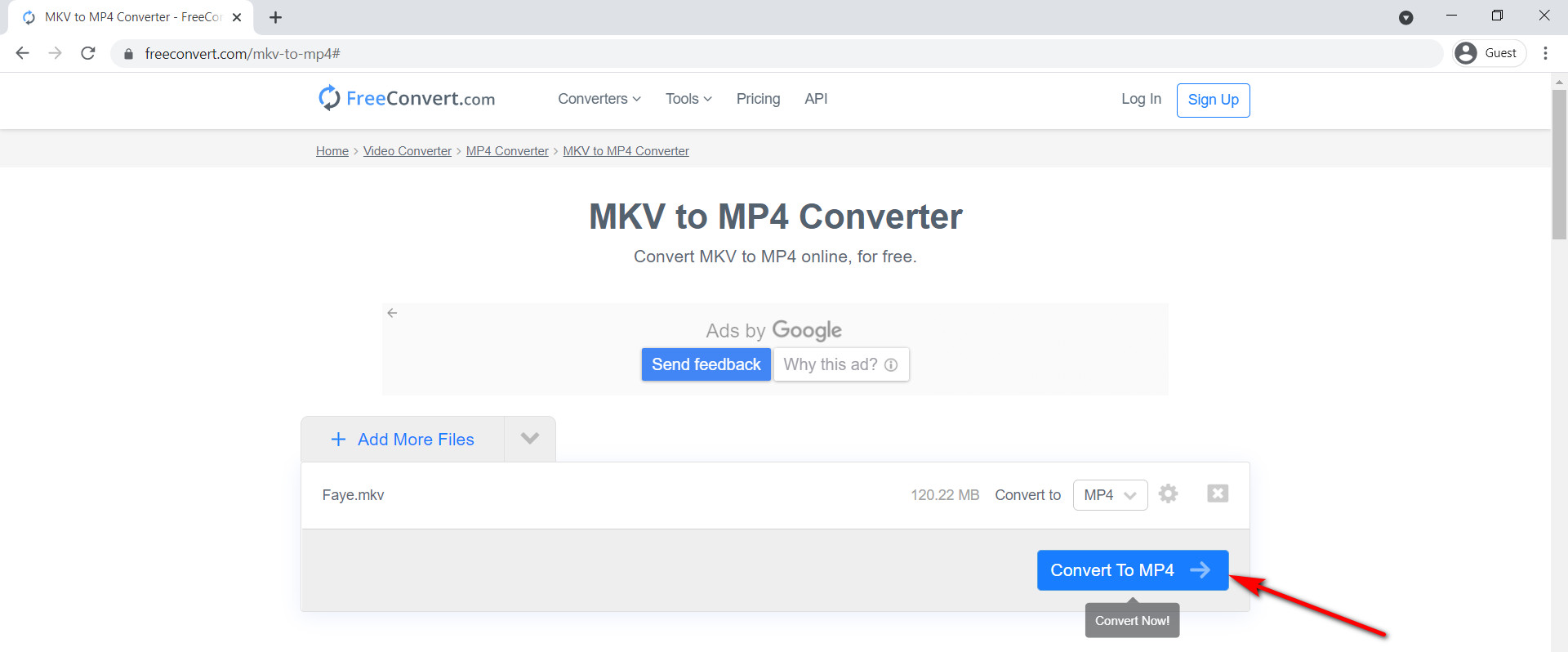 Click Convert To MP4 to start converting