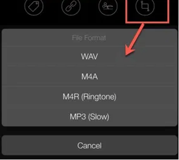 File Format in the APP