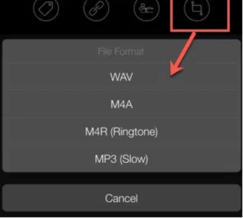 File Format in the APP