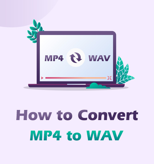 Cómo convertir MP4 a WAV