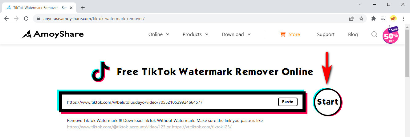 الصق الرابط المنسوخ في AmoyShare TikTok Watermark Remover
