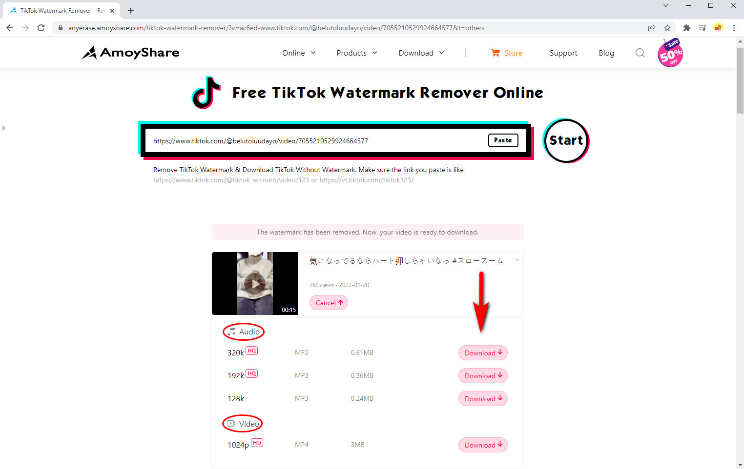 Download the TikTok video with watermark removed