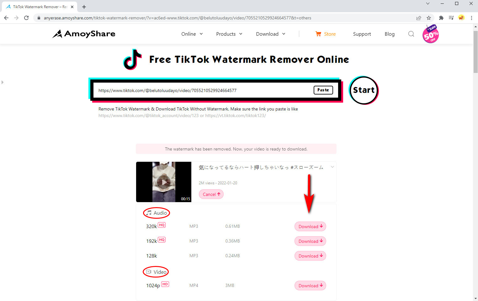 Laden Sie das TikTok-Video mit entferntem Wasserzeichen herunter