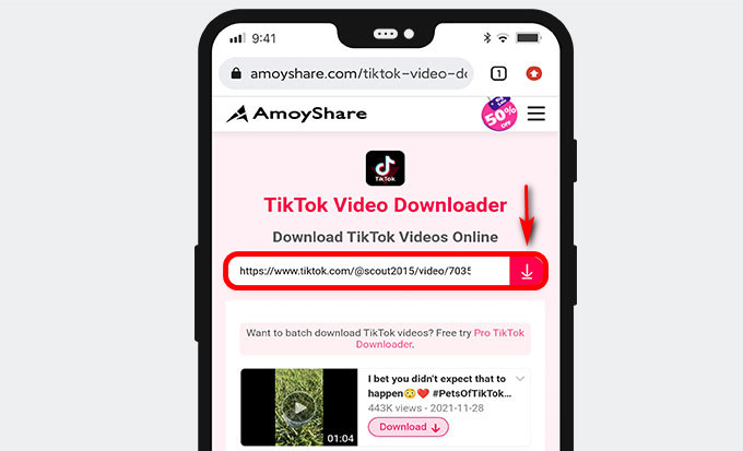 Dirígete a AmoyShare TikTok Video Downloader para pegar la URL
