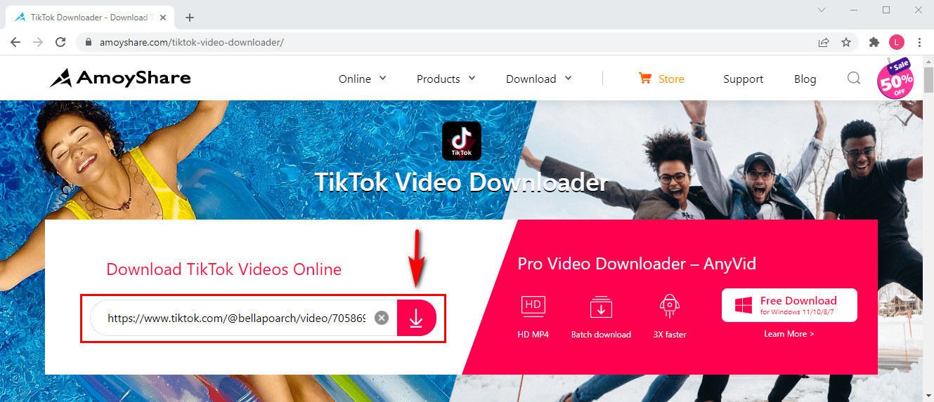 kopierten-link-zum-amoyshare-tiktok-video-downloader einfügen