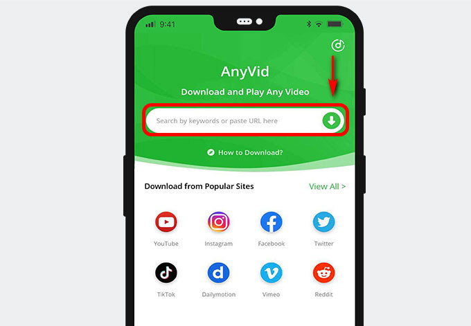 Öffnen Sie die AnyVid-App, um die URL einzufügen