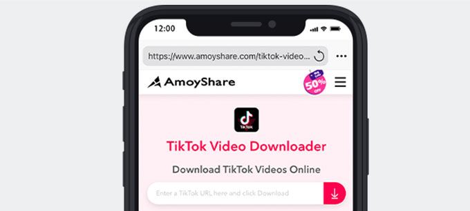 다운로드를 위해 AmoyShare TikTok 비디오 다운로더로 이동