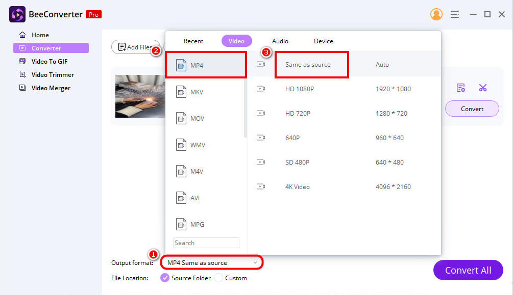 Select MP4 as the output format