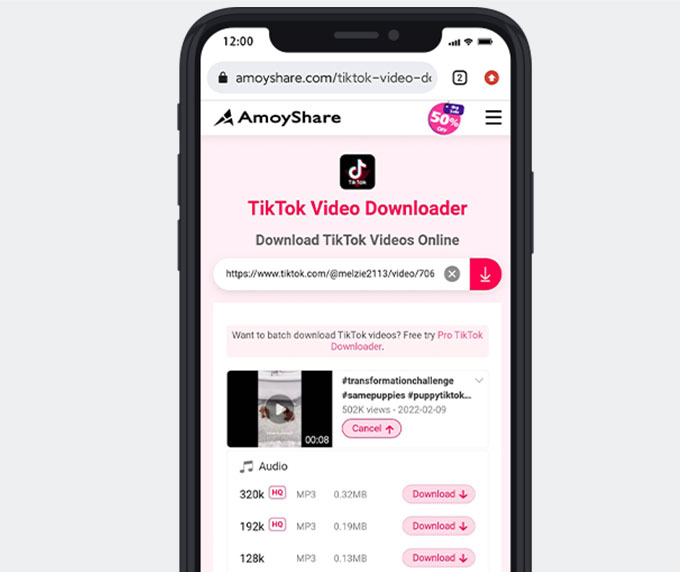 Download TikTok sounds on iPhone