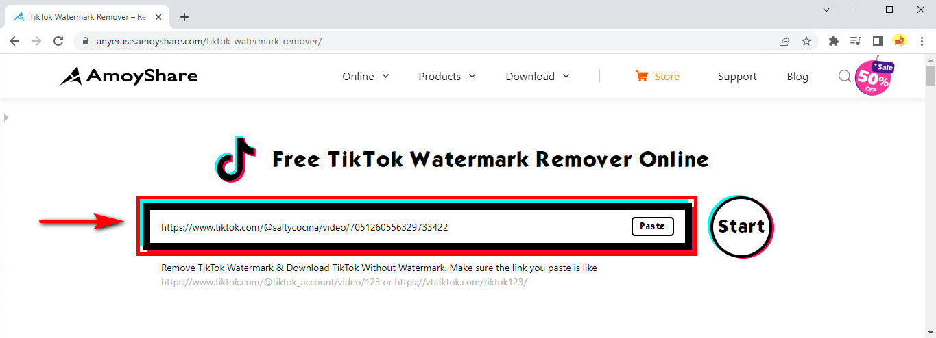 Pegue el enlace copiado en el eliminador de marcas de agua de TikTok