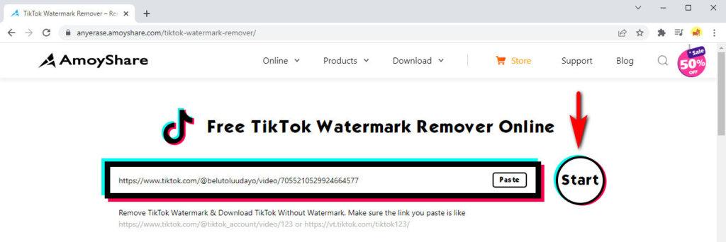 กำจัดลายน้ำ TikTok บน AmoyShare TikTok watermark remover