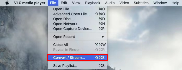 Select Convert option to transform MP4