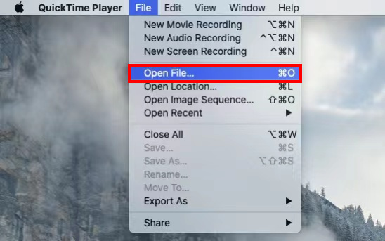 Open an MP4 file on QuickTime