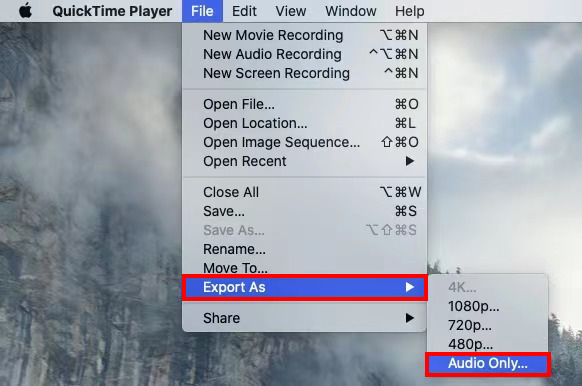 Export the MP4 file as M4A format