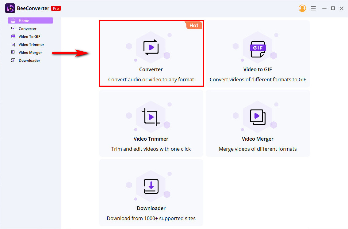 Starten Sie das BeeConverter-Programm