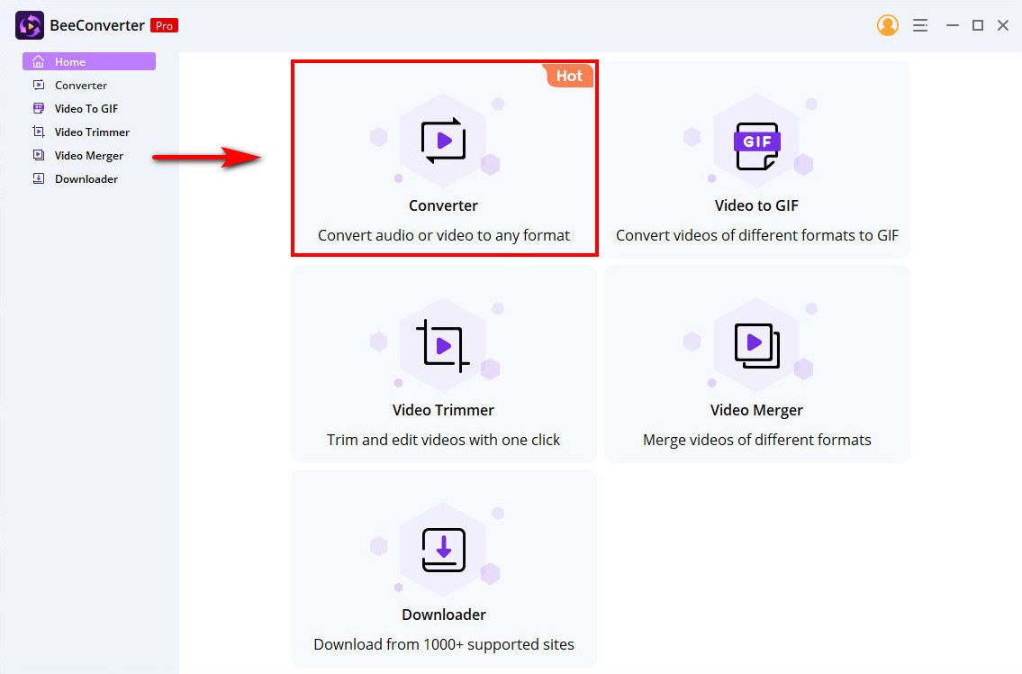 Inicie el programa BeeConverter