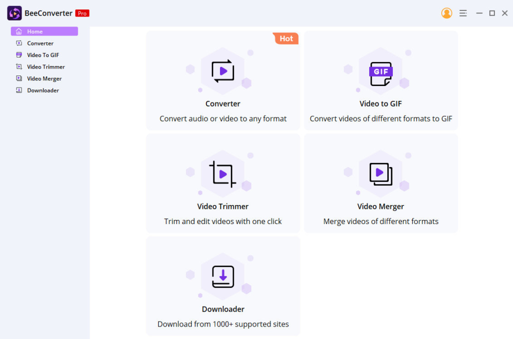 Konvertieren Sie NFV mit BeeConverter in MP4