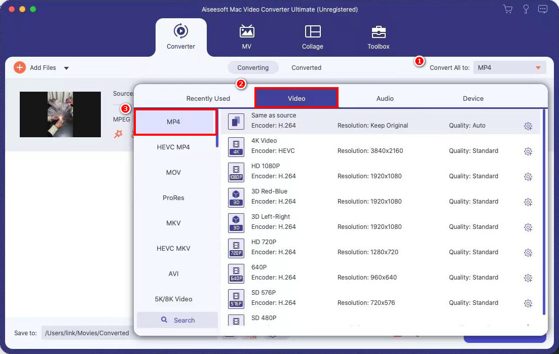 Choose MP4 as the output format on Mac