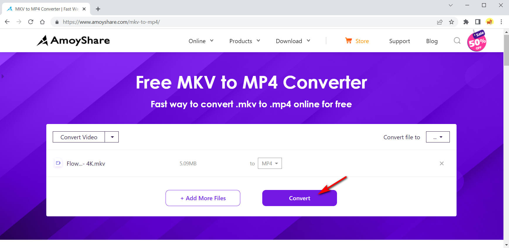Konvertieren Sie MKV in MP4