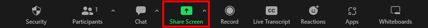 Hit the Share Screen button on Zoom