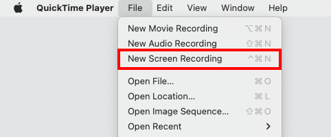 Select the New Screen Recording option