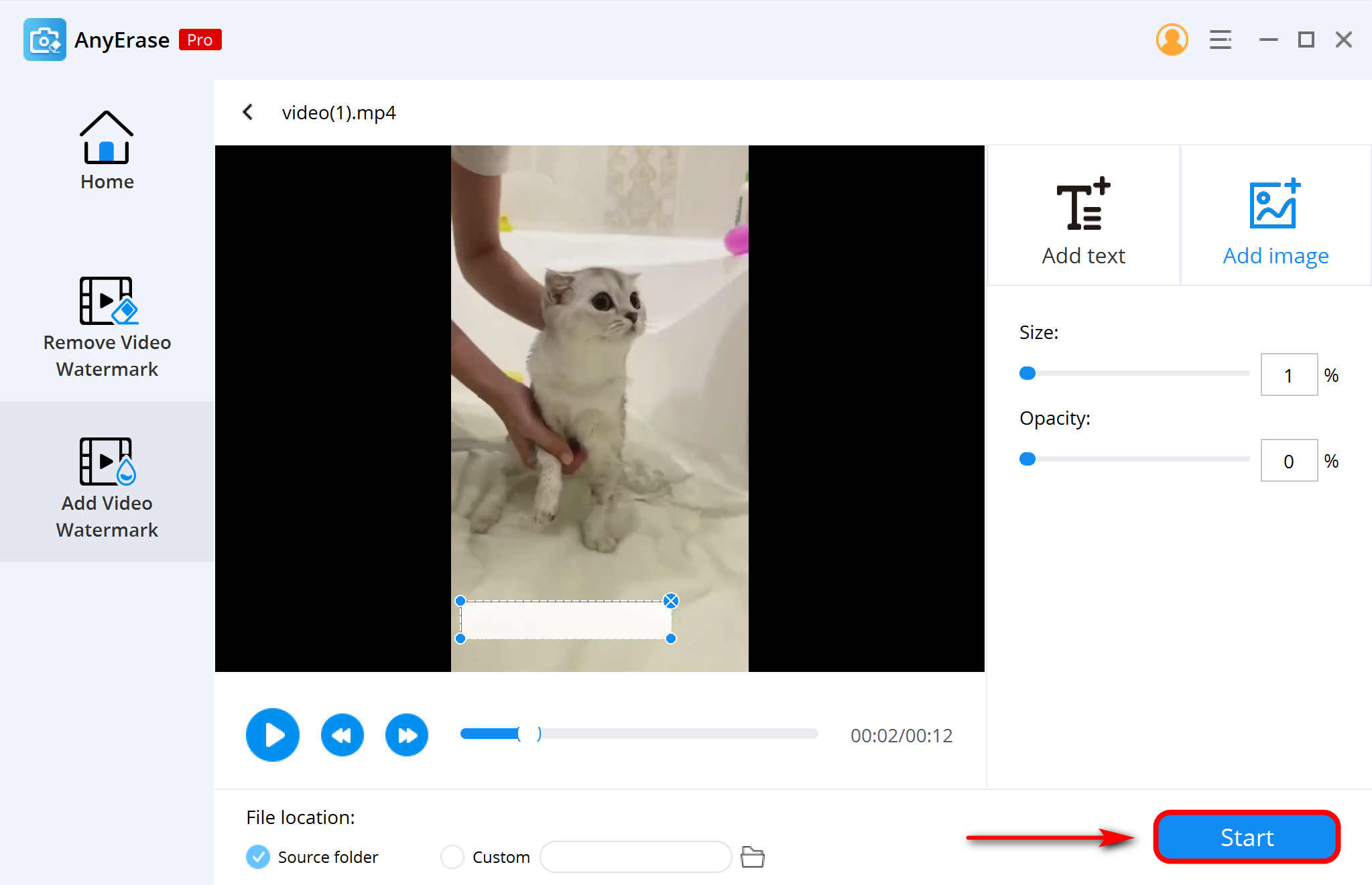 AnyErase で動画から不要なテキストを削除する