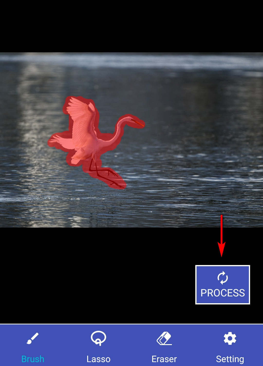 Hit process tab to remove objects from pictures