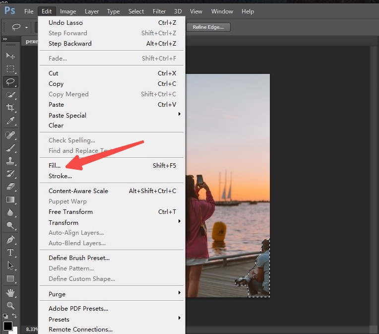 11 Select the “Fill” tool in the Edit bar