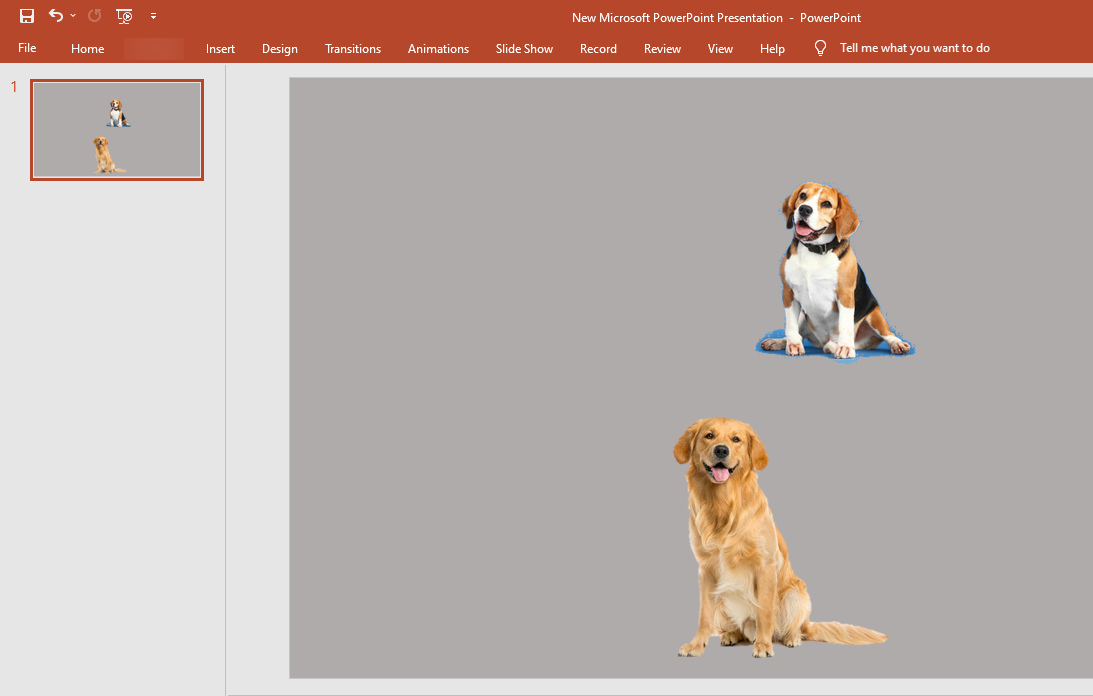 Rendre une image transparente dans PowerPoint