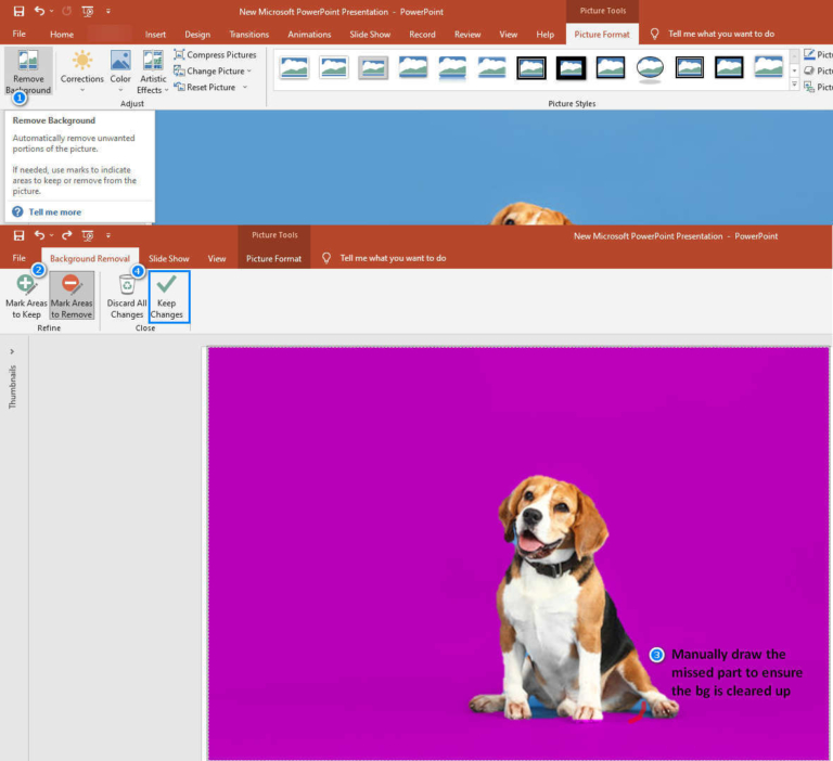 Wie entferne ich den Hintergrund aus dem Bild in PowerPoint?