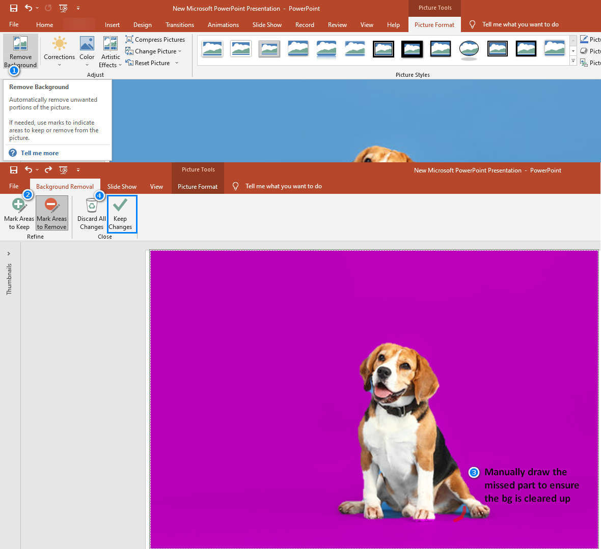 Remove background from picture in PowerPoint