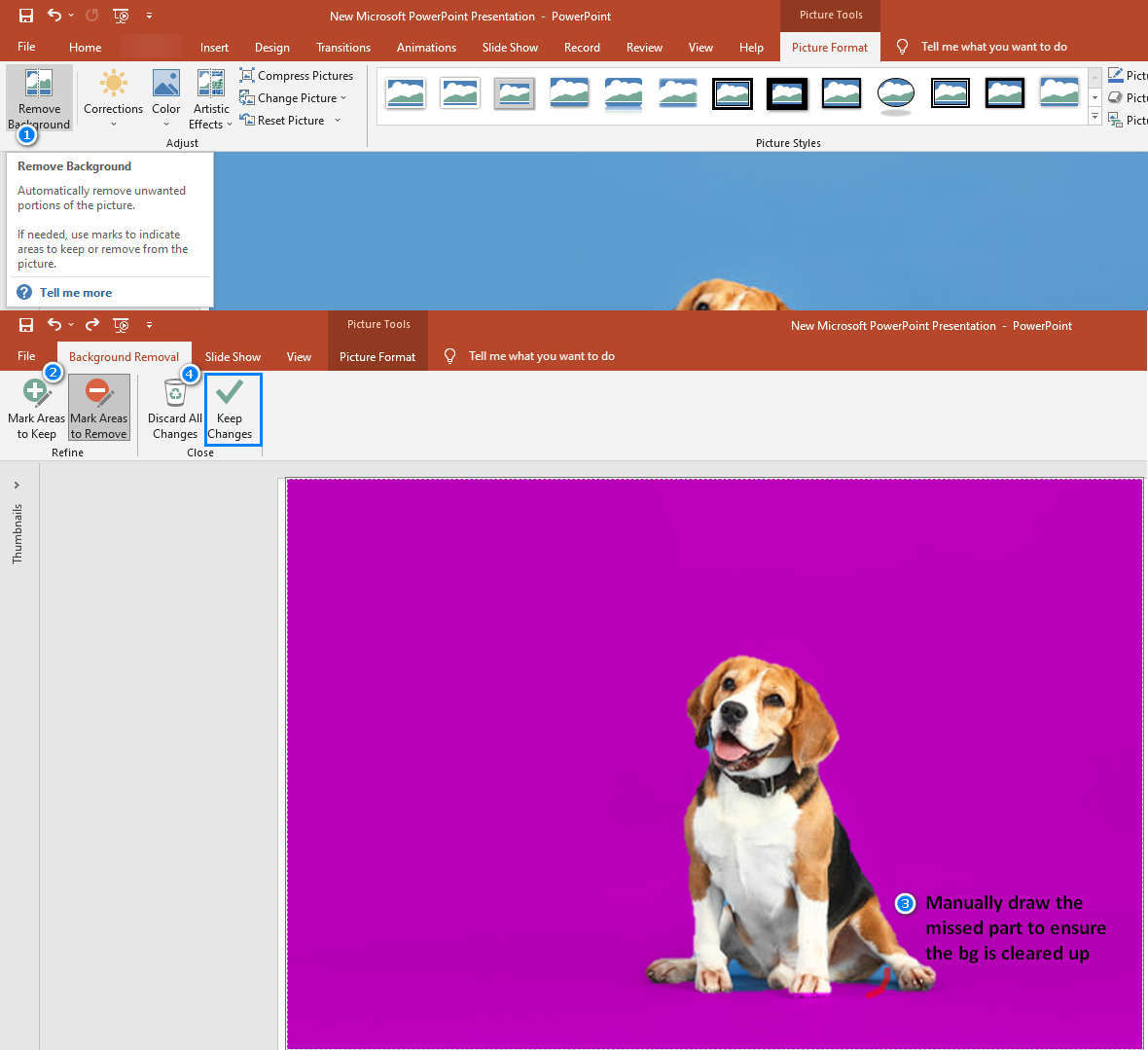 Entfernen Sie den Hintergrund aus dem Bild in PowerPoint