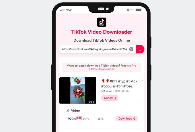 Download TikTok video without watermark