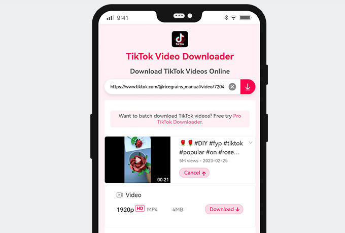 Baixe o vídeo do TikTok sem marca d'água