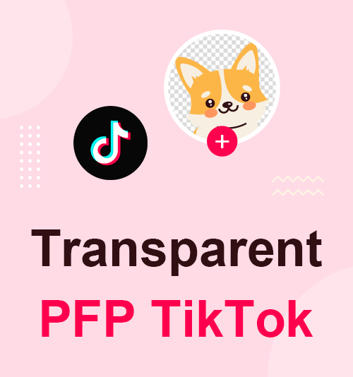 PFP transparente TikTok
