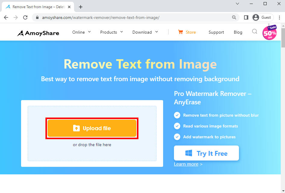 AmoyShare Online Watermark Remover
