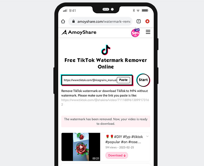 Remove TikTok watermark online for free