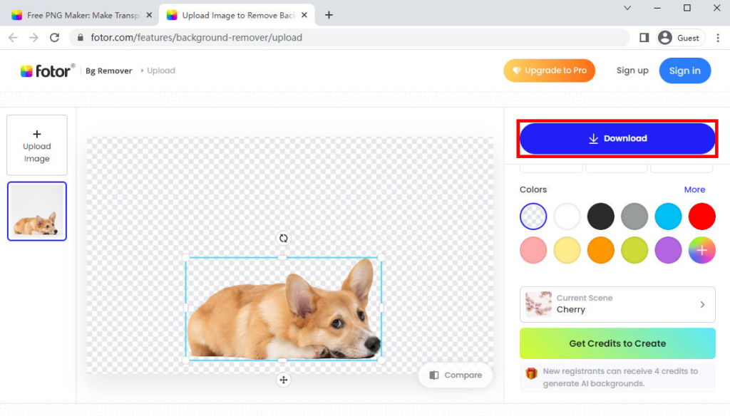 Best Ways to Convert JPG to PNG Transparent Online