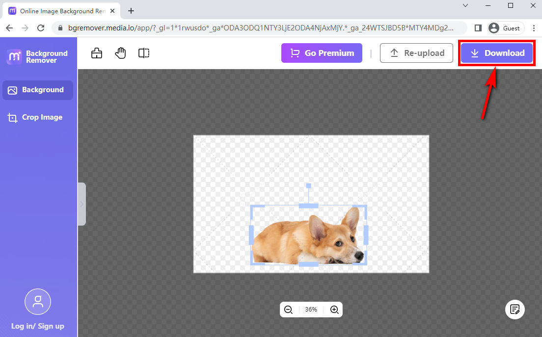 Best Ways To Convert JPG To PNG Transparent Online
