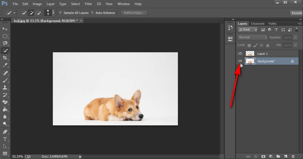 How To Save A Photo In Photoshop Without White Background at Isla ...