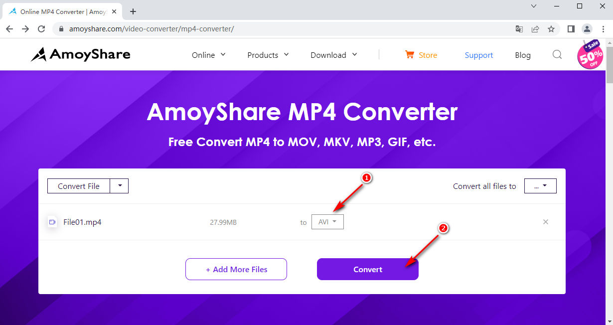 06 AmoyShare MP4 コンバーターで MP4 を AVI に変換