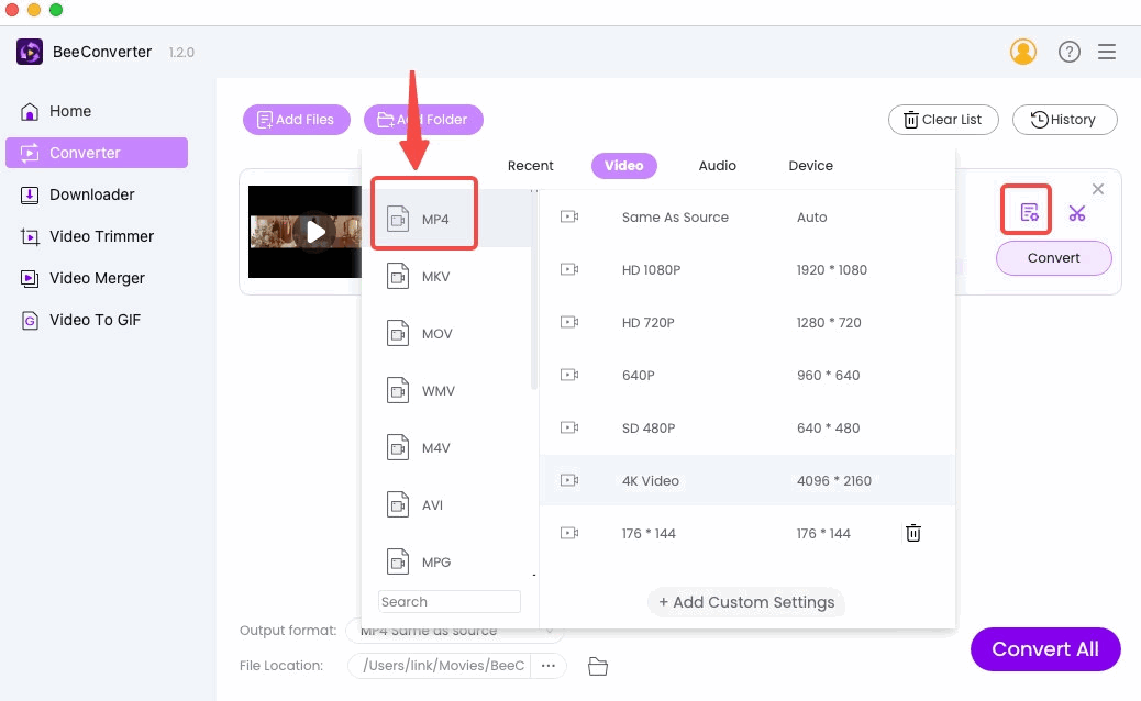 Selecione MP4 como formato de saída no BeeConverter