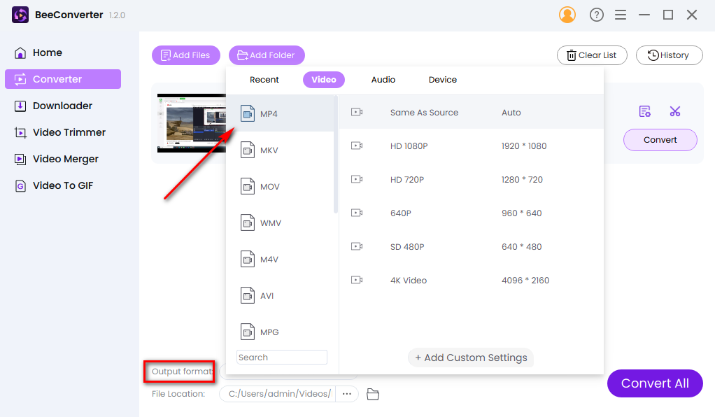 Select Output format on BeeConverter