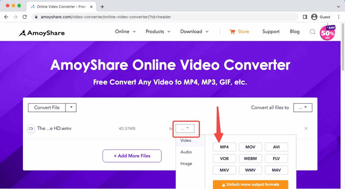 Select the Output format on AmoyShare website